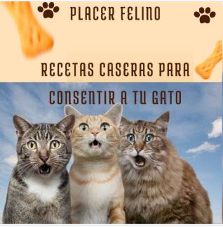 GATO. PLACER FELINO. RECETAS CASERAS PARA CONSENTIR A TU GATO