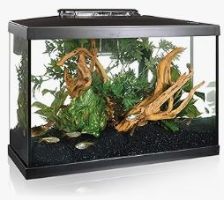 Acuario para peces