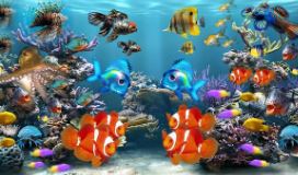 Peces de acuario